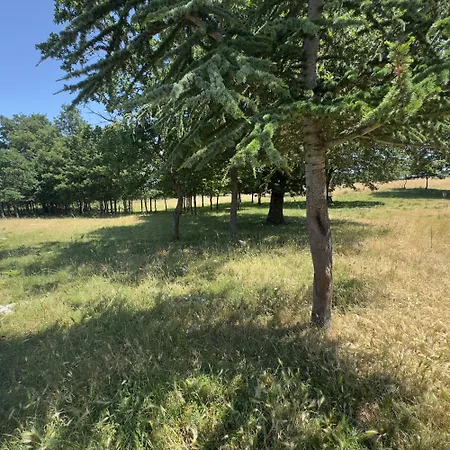 Le Chiancate * 산 조반니 로톤도